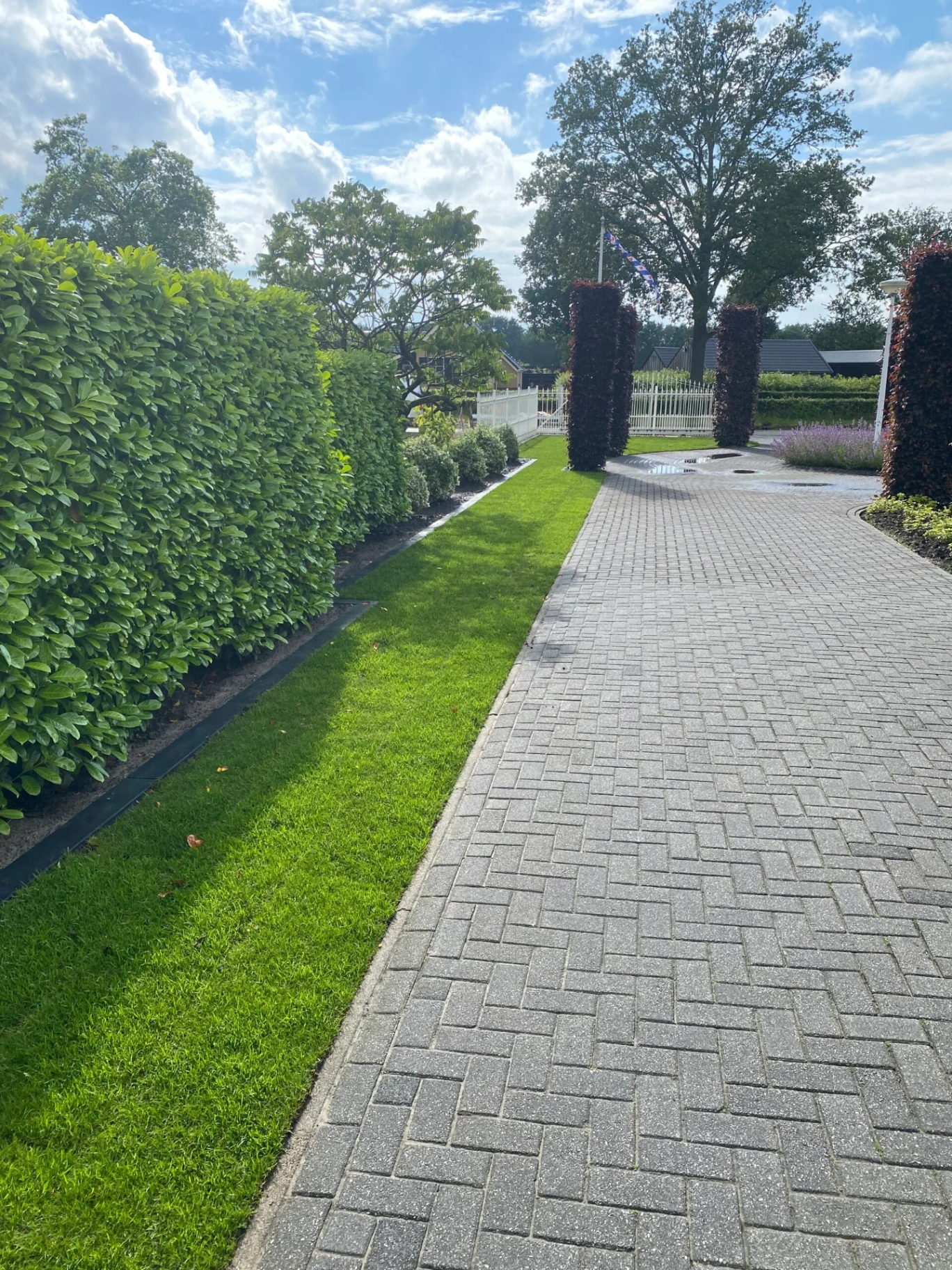 Beplantingsplan met laurierhaag