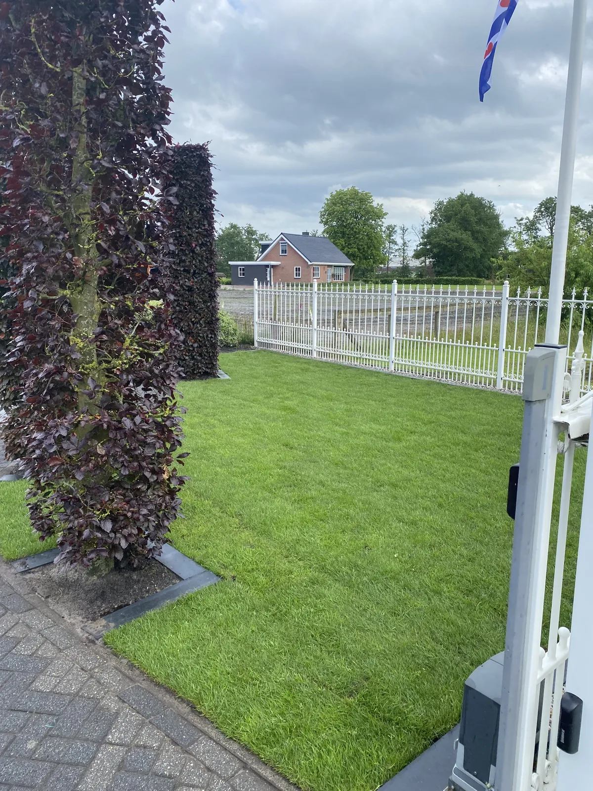 Gazonrenovatie met strak resultaat — foto 4