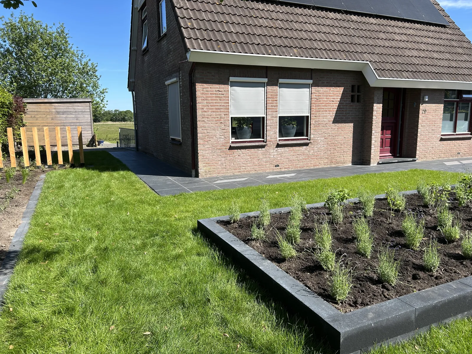 Aanleg voortuin met oprit — foto 5